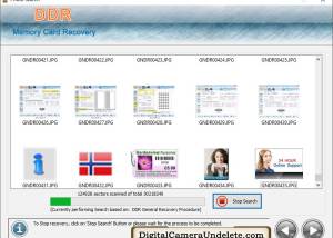 software - Memory Card Files Undelete 5.3.2 screenshot