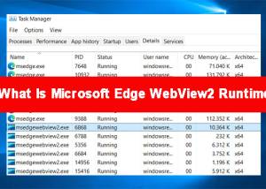 Full Microsoft Edge WebView2 Runtime screenshot