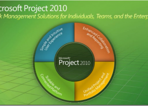 software - Microsoft Project Professional 2019 screenshot