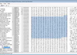 software - Miraplacid Data Viewer 3.2 screenshot