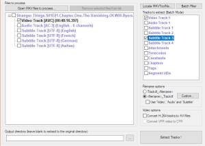 software - MKVCleaver Portable 0.7.0.2 screenshot