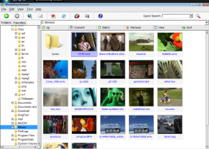 software - MovieShop Browser 1.7.4 screenshot