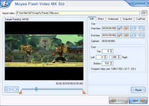 software - Moyea Flash Video MX Std 6.0.1.1104 screenshot