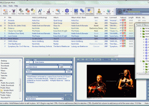 Full Mp3nity screenshot