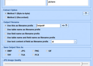 MS Access Extract Images Software screenshot