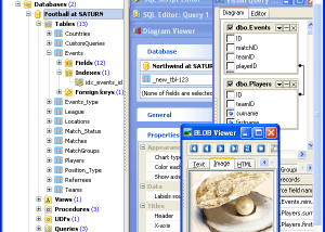 software - MS SQL Code Factory 17.4 screenshot