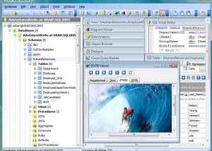 software - MS SQL Maestro 23.7 screenshot