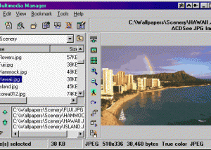 Multimedia Manager screenshot