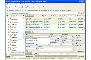 software - Music Tag Editor 2.0 screenshot