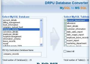 software - MySQL DB To MS SQL Migrator 3.0.1.5 screenshot