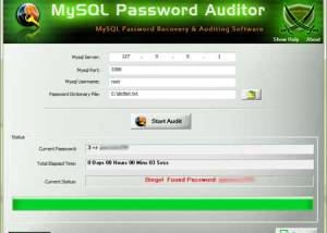 Mysql Password Auditor screenshot