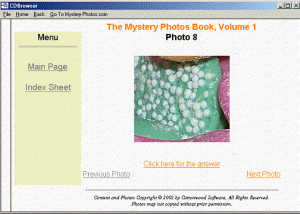 Mystery Photos Book 1 screenshot