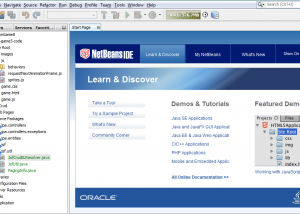 software - NetBeans IDE 10.0 screenshot