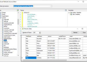 NetSuite SSIS Components by Devart screenshot