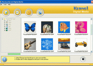 software - Nucleus Kernel Digital Media Recovery Software 4.02 screenshot