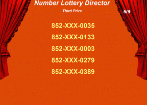 Number Lottery Director screenshot