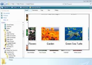 software - OneLoupe 5.88.1 screenshot