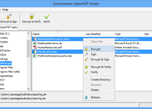 software - Open PGP Studio 1.2.3 screenshot