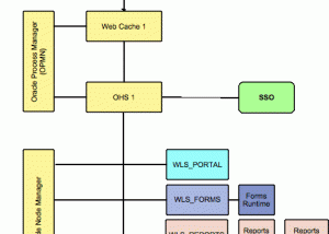 software - Oracle Forms and Reports 12.2.1.19.0 screenshot