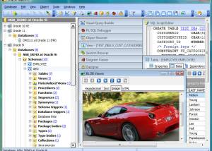software - Oracle Maestro 16.1 screenshot