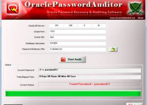 Oracle Password Auditor screenshot