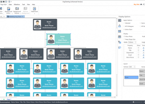 software - OrgCharting 1.3 screenshot