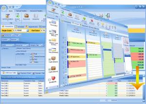 software - OrgFinances for Workgroup 2.8 screenshot