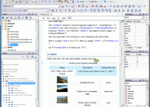 oXygen XML Editor and XSLT Debugger screenshot