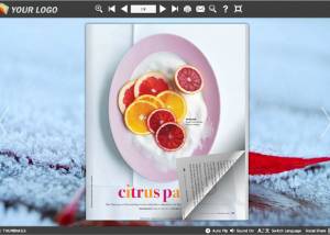 software - Page Flip Book Frost Style 1.0 screenshot