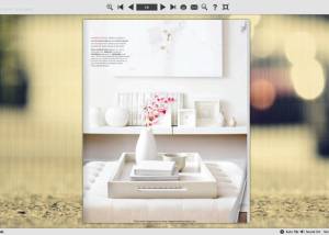 software - Page Flip Book Plain Style 1.0 screenshot