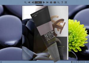 Page Flipping Templates for Stone Style screenshot