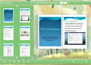 software - PageFlipping PDF to FlashBook 1.0 screenshot