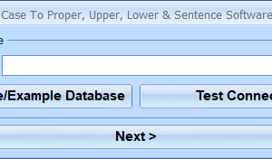 Paradox Change Case To Proper, Upper, Lower & Sentence Software screenshot