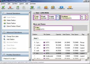 software - Partition Assistant Server Edition 4.0 screenshot