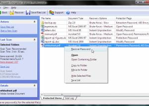software - Passware Encryption Analyzer Professional 4.3 screenshot