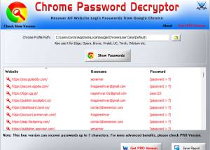 software - Password Decryptor for Chrome 13.0 screenshot