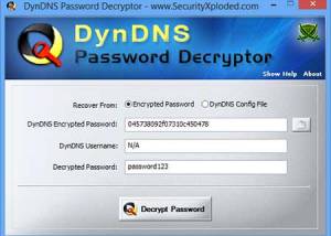 Password Decryptor for DynDNS screenshot