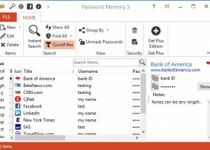 Password Memory 2010 screenshot