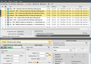 software - Pazera Free MKV to AVI Converter 1.7 screenshot