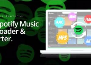 software - Pazu Spotify Music Converter 4.9.0 screenshot