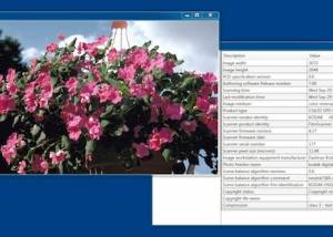 software - pcdMagic 1.0.8 screenshot