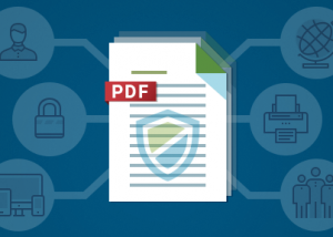 Full PDF Anti-Copy screenshot