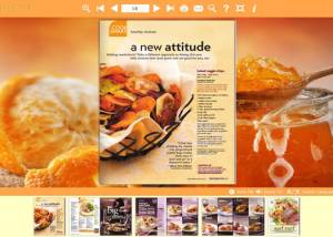 PDF to Flash templates of Orange style screenshot