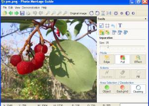 software - Photo Montage Guide 2.2.11 screenshot