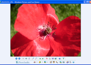 software - Photo Toolkit 1.8 screenshot