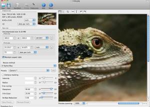 software - PhotoZoom Pro for Mac 8.2.0 screenshot