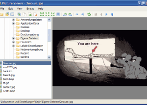 software - Picture Viewer 3.8 screenshot