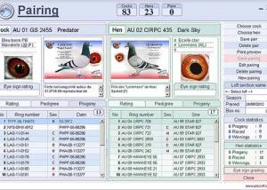 software - Pigeon Loft Organizer 4.0.8 screenshot