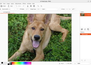 software - Pinta 2.1.2 screenshot