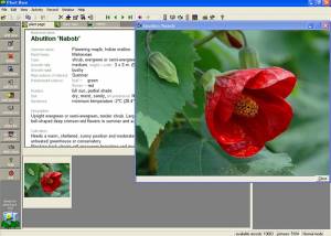 software - Plant Base 2.1.15 screenshot